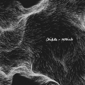 Nothing cover