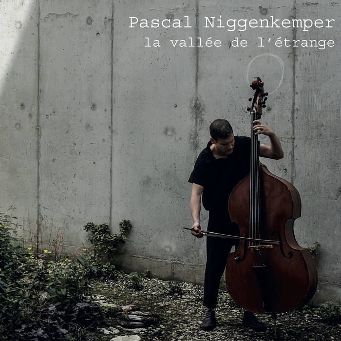 la vallée de l'étrange | Pascal Niggenkemper | subran music
