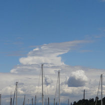 oRSo in Spring in Seattle out of Love cover art