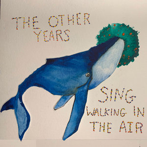 Walking In The Air feat. Nathan Salsburg cover