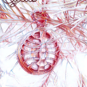 cycles cover