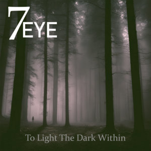 To Light The Dark Within cover