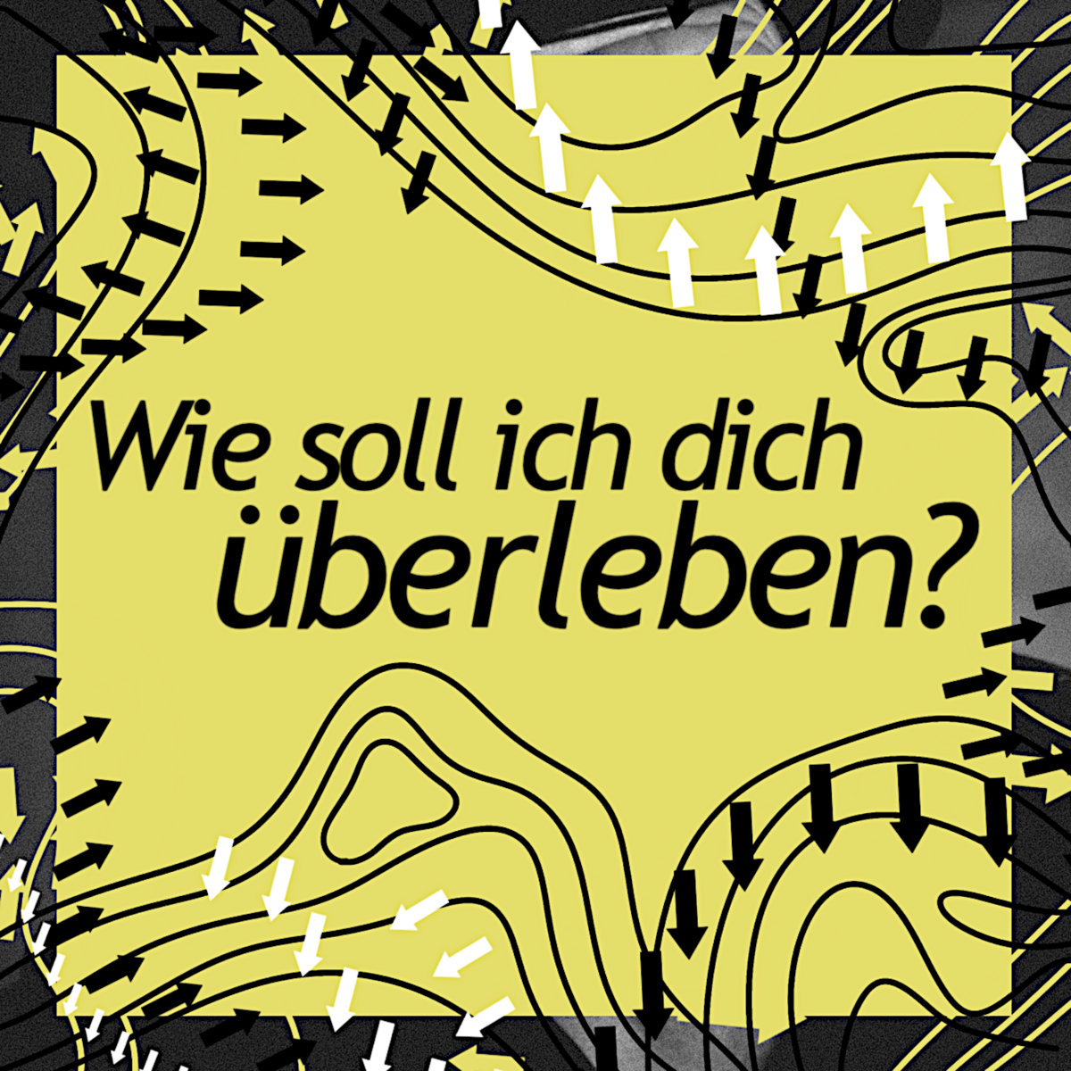 Wie soll ich dich überleben?