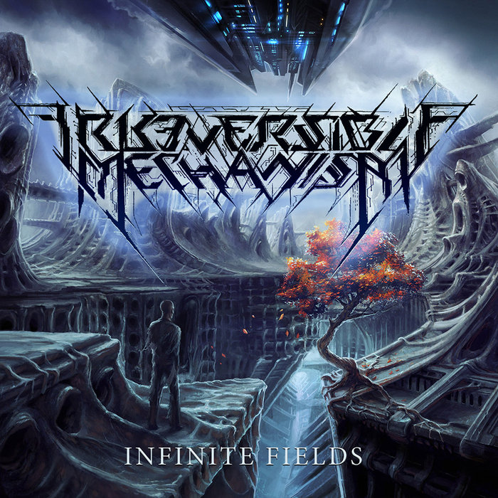 Infinite Fields, by Irreversible Mechanism