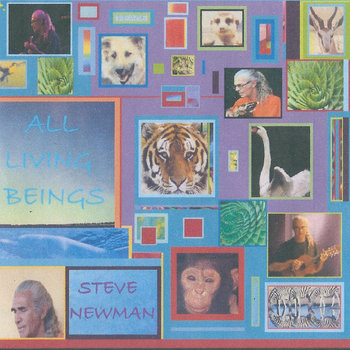 Music | Steve Newman Acoustic Guitarist