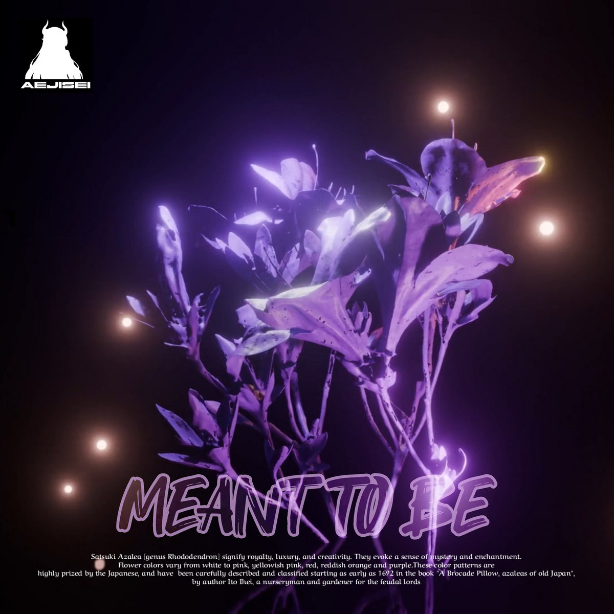 Meant to Be cover art