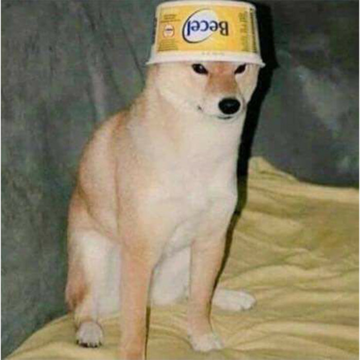 Butter Dogs Urethra Heap