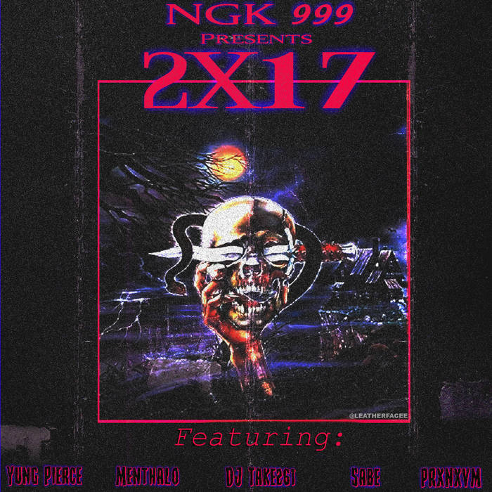 2X17 | NGK999