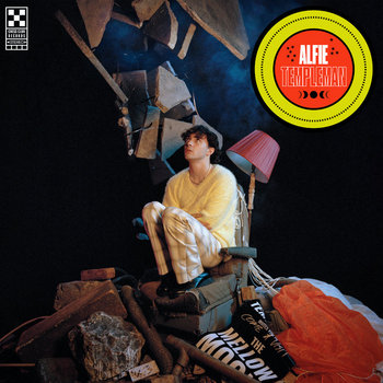 Music | Alfie Templeman