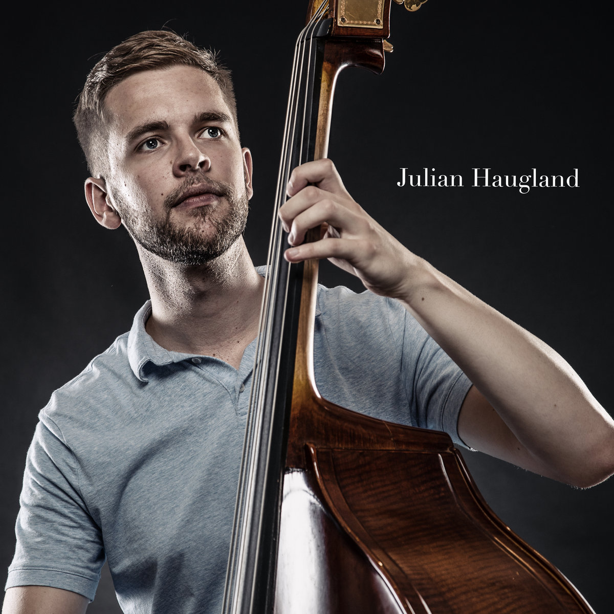 Image result for Julian Haugland