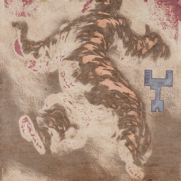 Sky Burial cover art