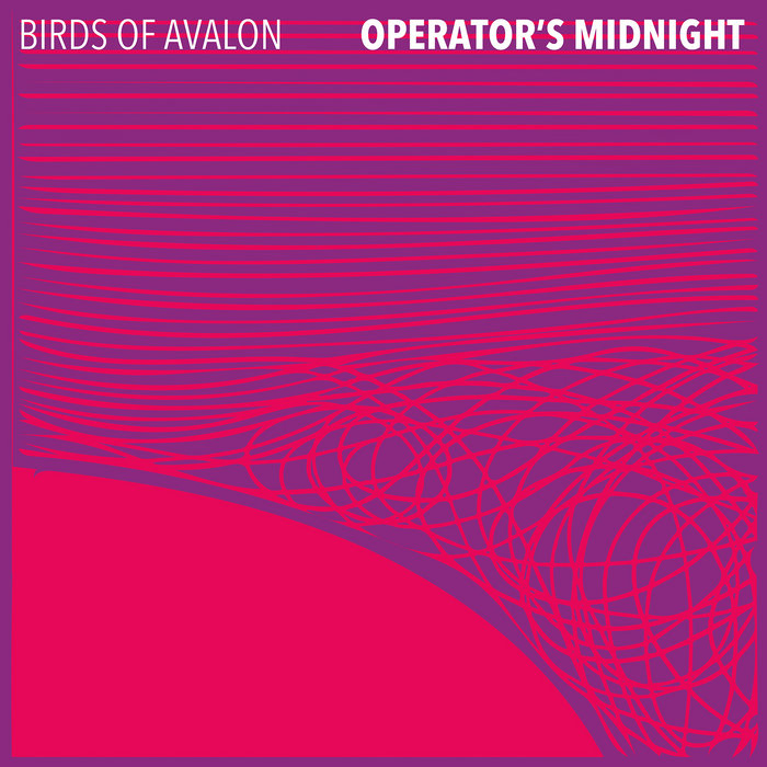 Birds of Avalon