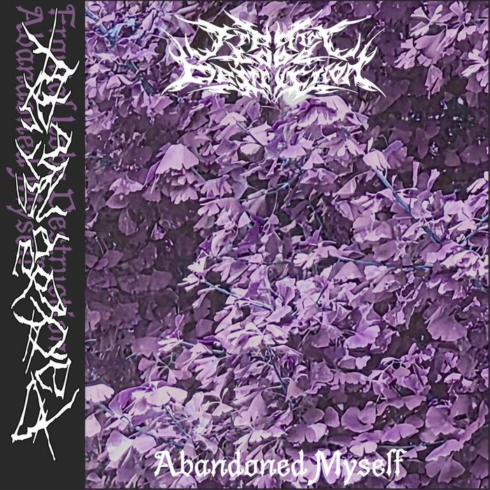 FRONTAL LOBE DESTRUCTION - Abandoned Myself cover art
