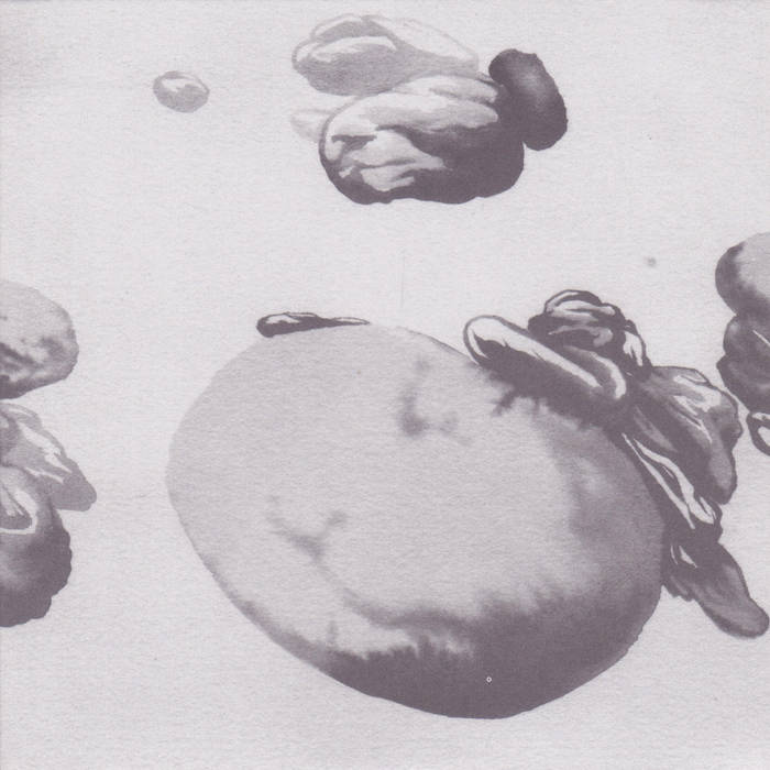 希少Swans CD まとめ 希少Swans CD まとめ 希少Swans CD まとめ 【公式通販】
