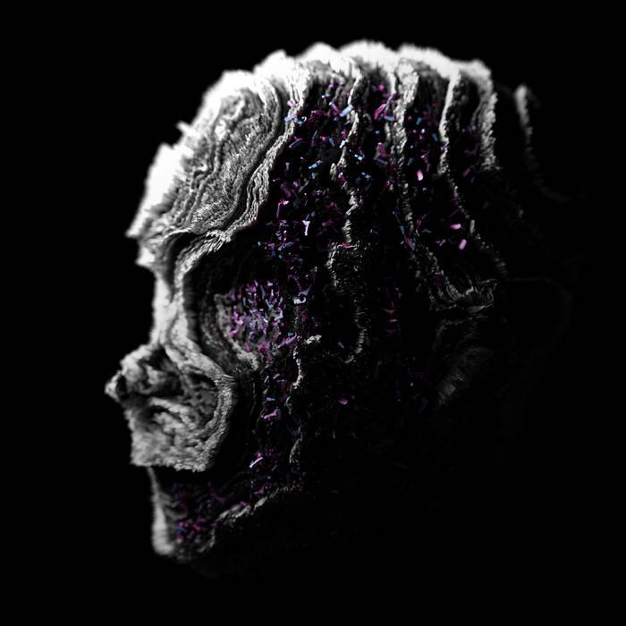 Video_premiere Monosphere