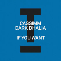 CASSIMM, Dark Dhalia — If You Want (Extended Mix)