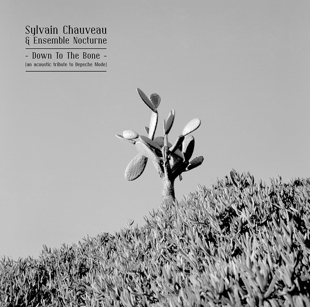 Résultat de recherche d'images pour "sylvain chauveau down to the bone"