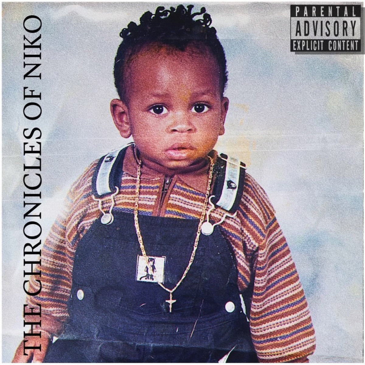 The Chronicles of Niko cover