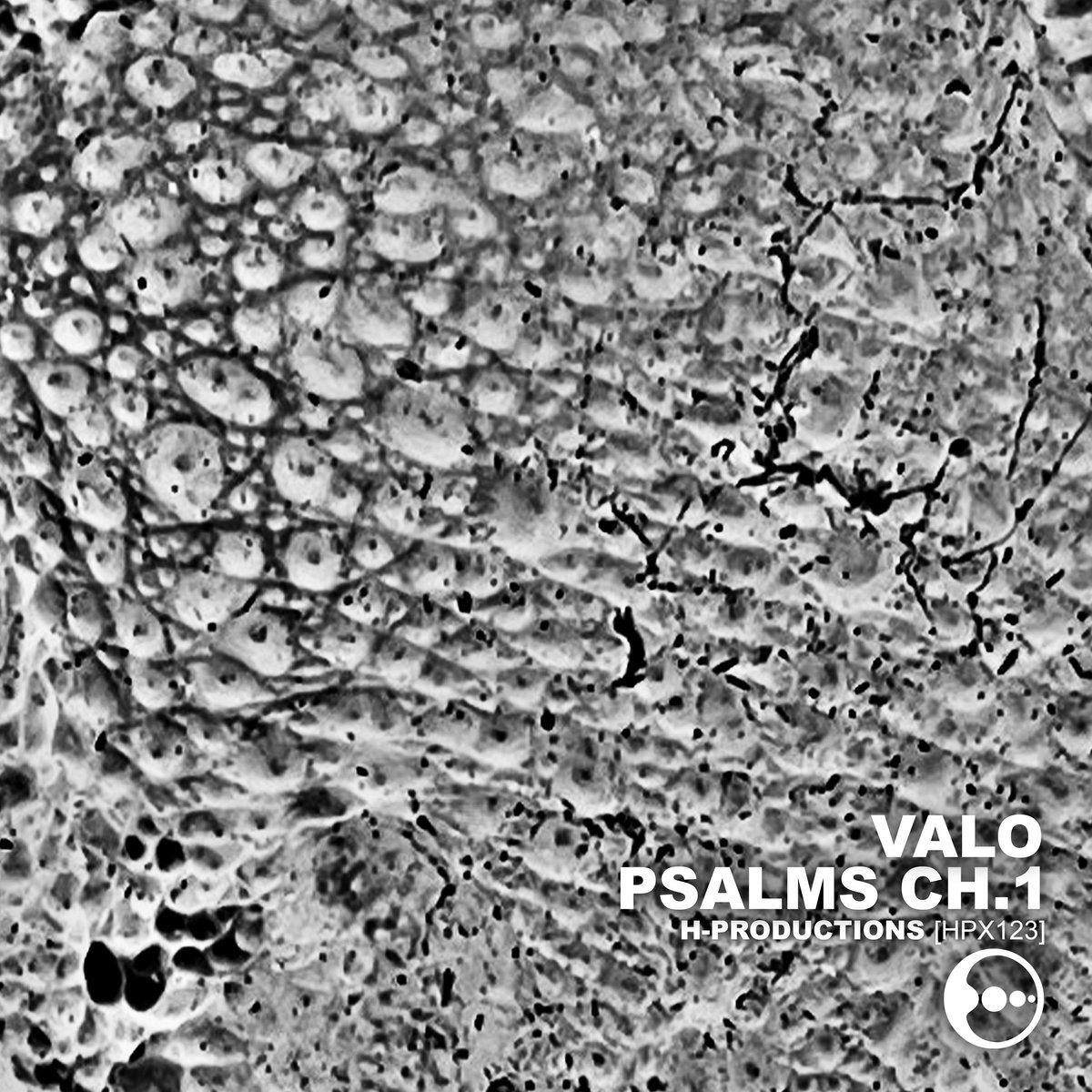 psalms-ch-1-hpx123-valo-h-productions
