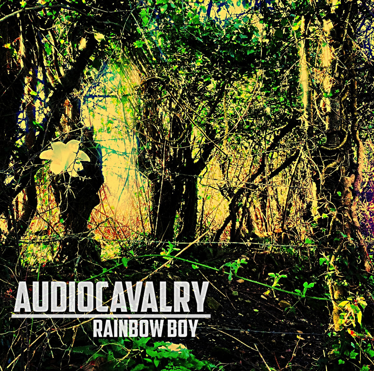 Rainbow Boy | EP cover