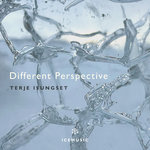 Terje Isungset - Different Perspective