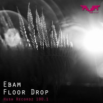 Floor Drop cover art