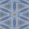Elevate: Dynamic Meditation, Vol. I