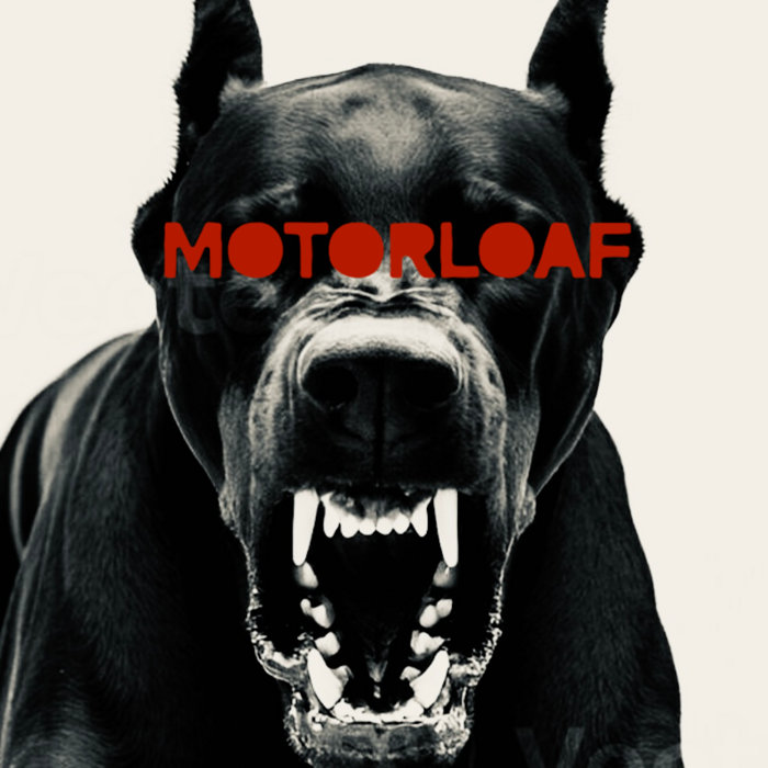 Pochette de Dog In The Street par Motorloaf
