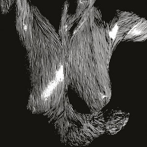 Self Preserved While The Bodies Float Up cover