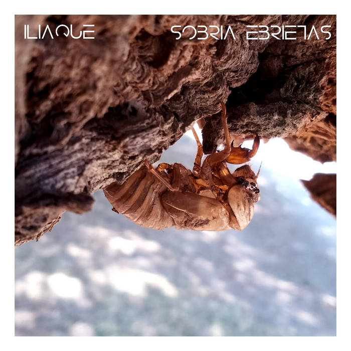 Sobria Ebrietas & Iliaque – Déluge