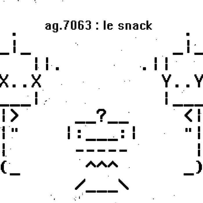 le-snack-ag-70763-ch4nnelizer