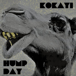 HUMP DAYKOKAYI cover