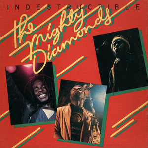 INDESTRUCTIBLE cover