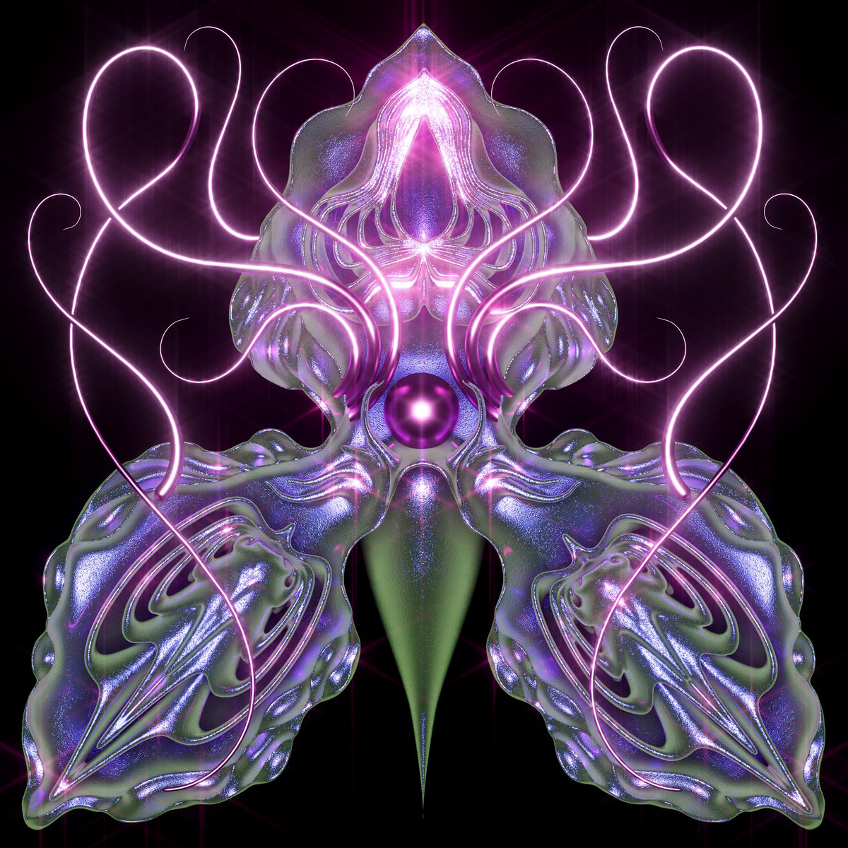 Orchid Underneath Jane Paknia orchid-underneath-jane-paknia