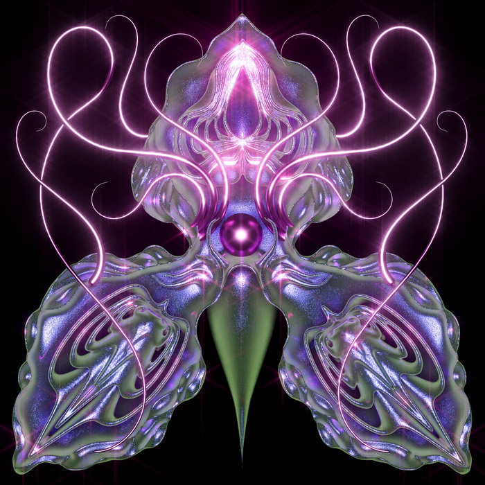 orchid-underneath-jane-paknia