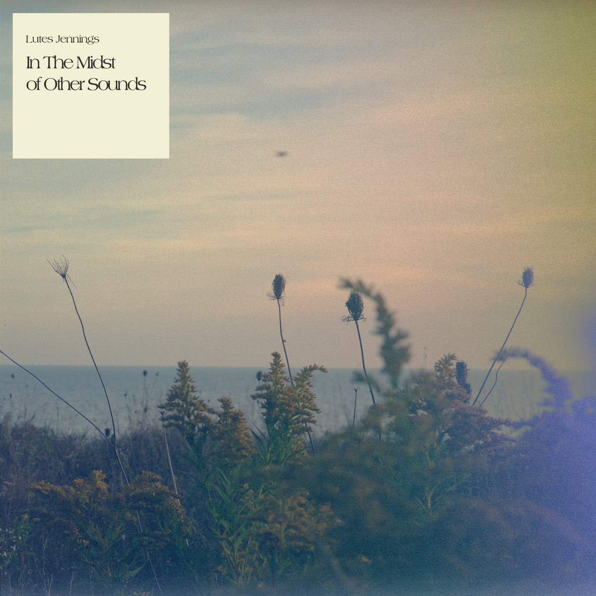 In The Midst of Other Sounds Lutes Jennings