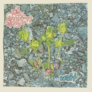 The Polyphonic Spree — Wait