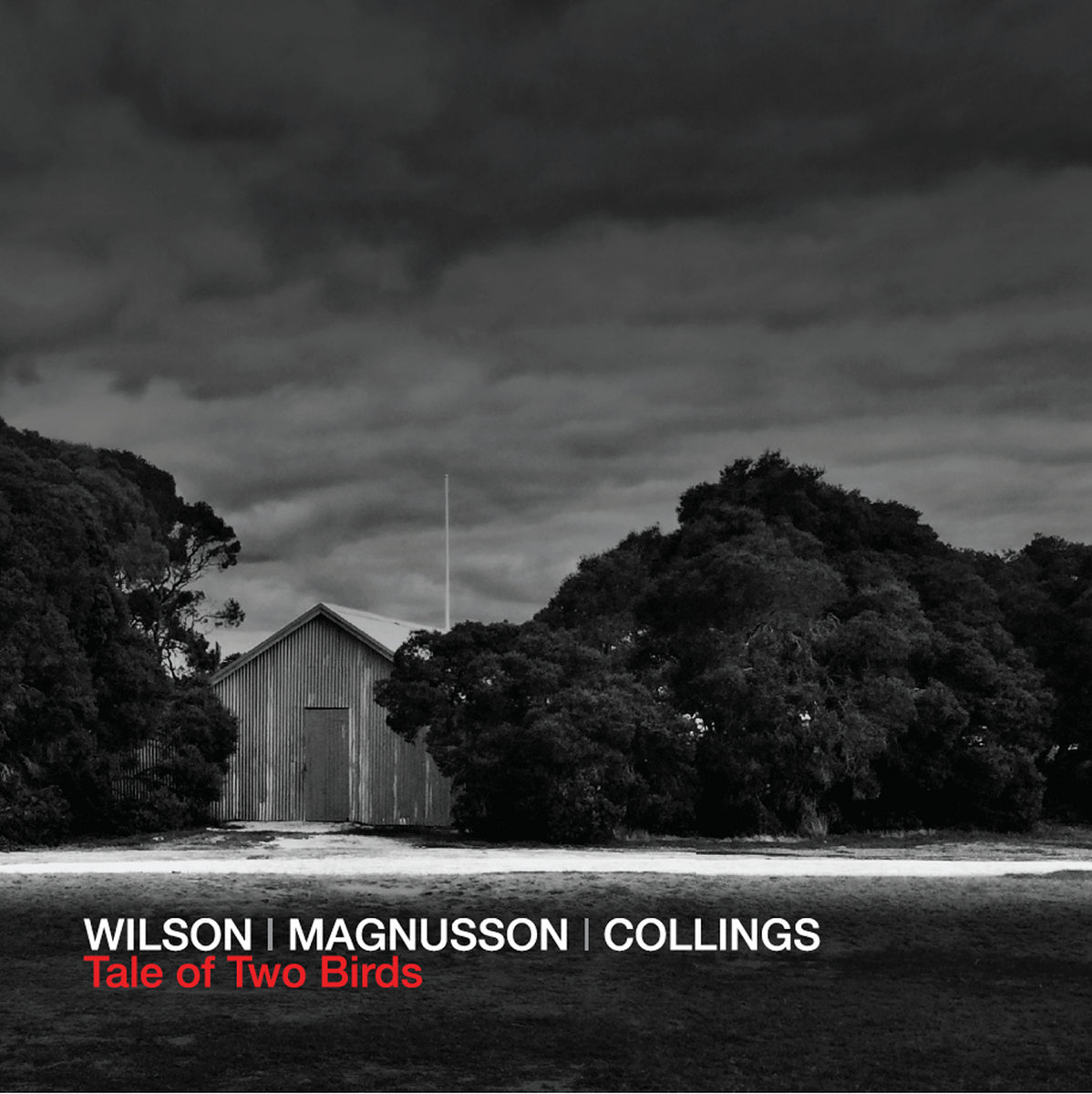 Wilson Magnusson Collings