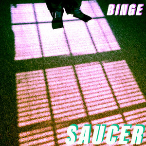 BINGESAUCER cover