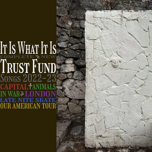 it is what it is cover