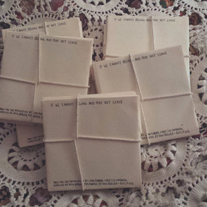 If We Cannot Belong And May Not Leavenick berger cover