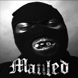 INTRO cover