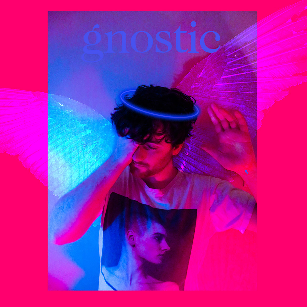 Gnostic cover