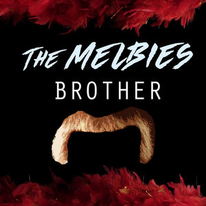 Brother cover