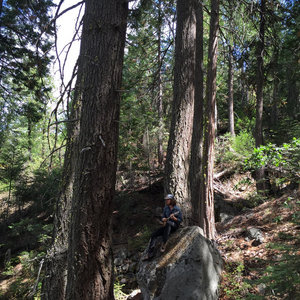 Quarry cover