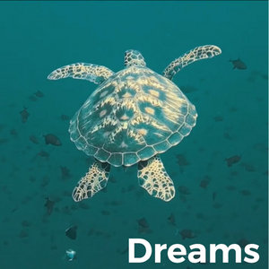 Dreams cover