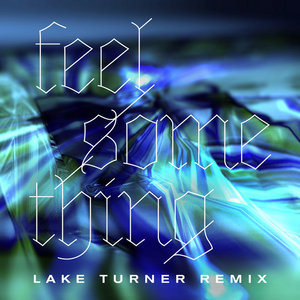 Feel Something (Lake Turner Remix) cover