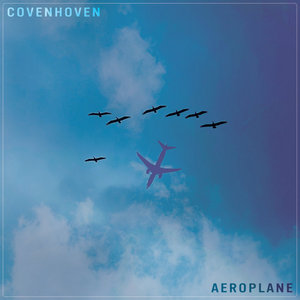 Aeroplane cover