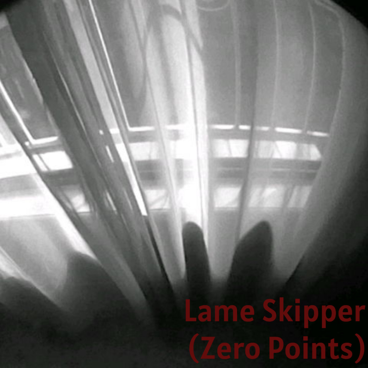 Lame Skipper (zero points)