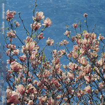 Partie 1 : Hologramme cover art